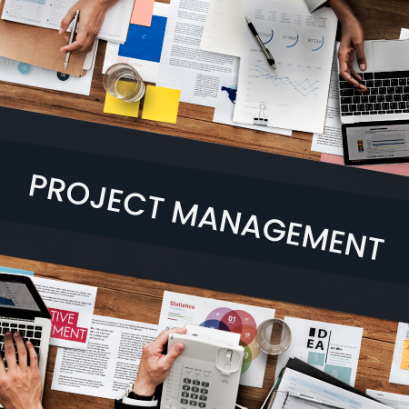 mitsde-project-management